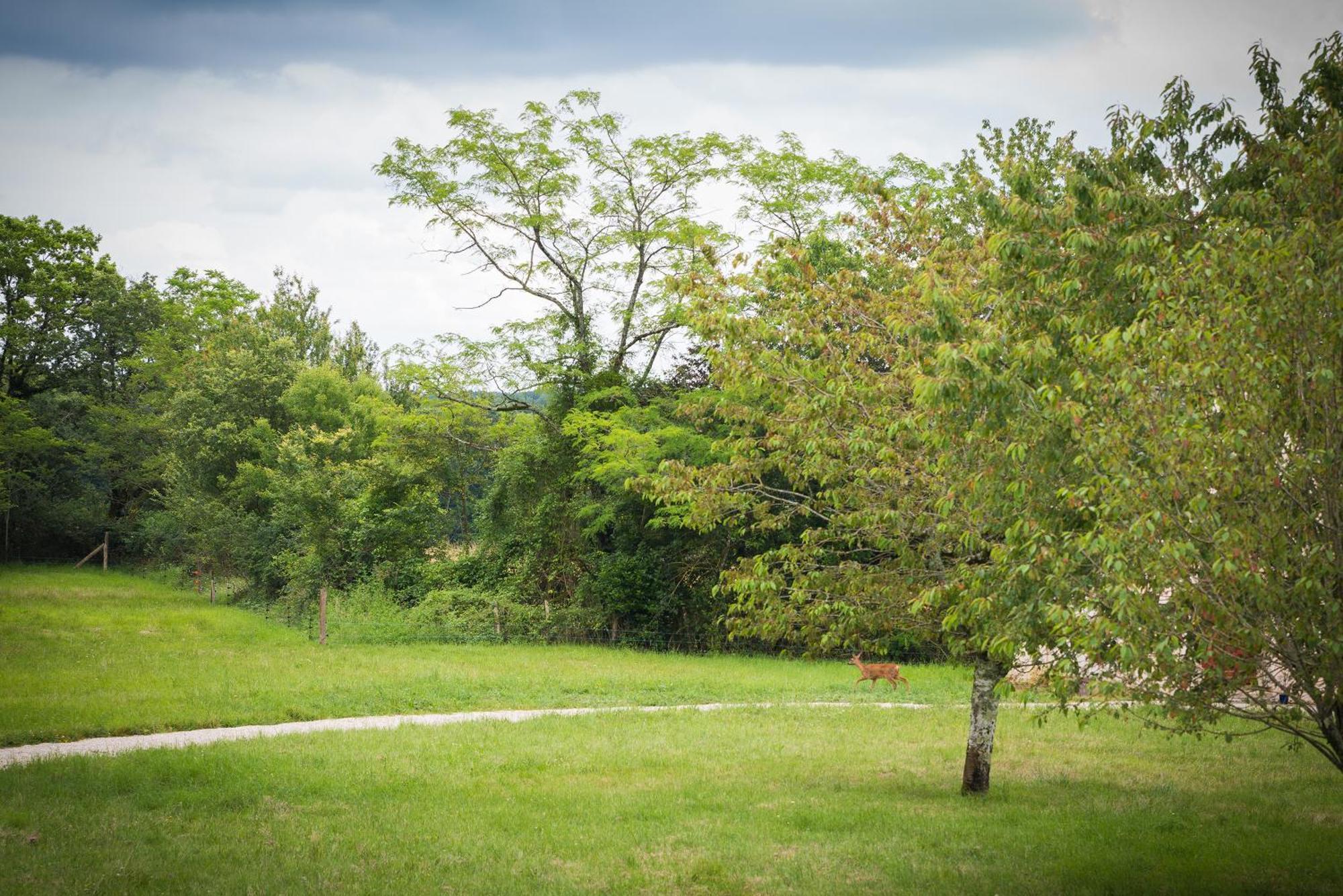 Domaine De L'Ecorcerie Hotell Fontaine-le-Comte Eksteriør bilde